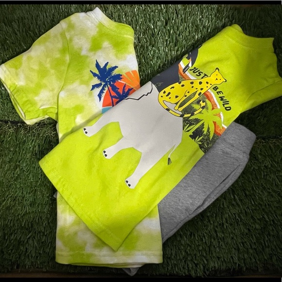 Set of two short shirts and one short pants - 3T - Picture 4 of 14